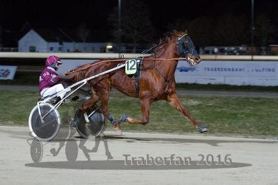 20160313_R05_040.jpg