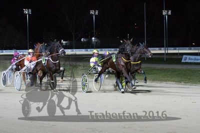 20160313_R05_057.jpg