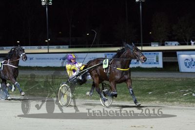 20160313_R05_086.jpg
