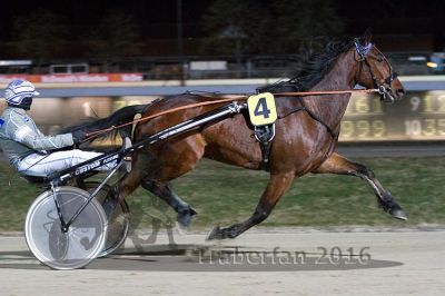 20160313_R06_038.jpg