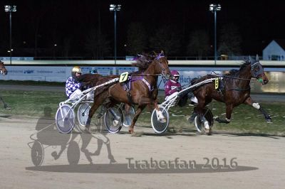 20160313_R06_054.jpg