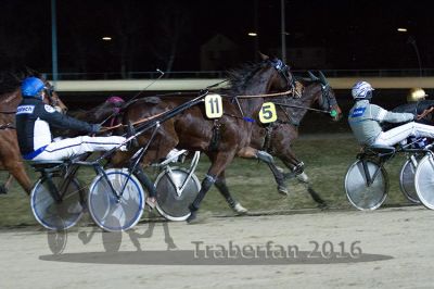 20160313_R06_073.jpg