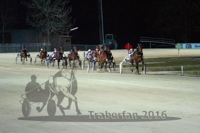 20160313_R08_69.jpg