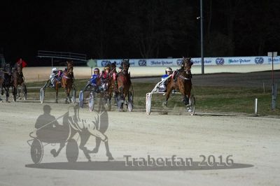 20160313_R08_71.jpg