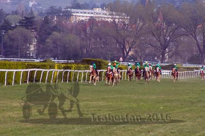 20160328_03_064.jpg