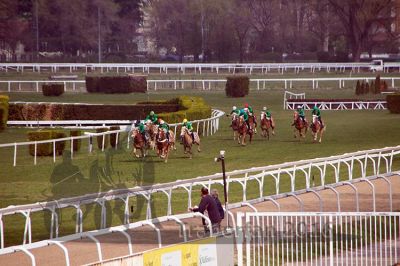 20160328_03_118.jpg