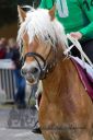 Dateiname=20160328_03_035.jpg
Dateigröße=91KB
Abmessungen: 500x750
hinzugefügt am: 28. August 2016 20160328_03_035.jpg