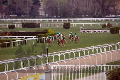 20160328_05_080.jpg