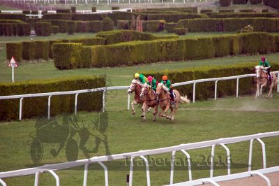 20160328_05_096.jpg