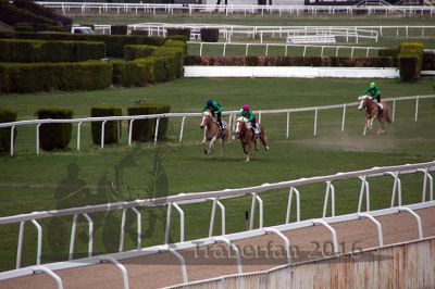20160328_07_084.jpg