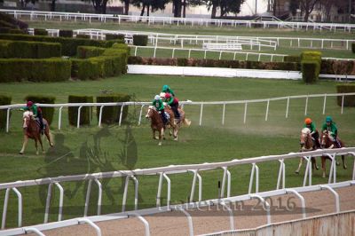 20160328_10_093.jpg