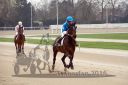 Dateiname=R02_0008.jpg
Dateigröße=107KB
Abmessungen: 750x500
hinzugefügt am: 17. April 2016 R02_0008.jpg
