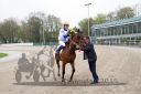 Dateiname=R02_0216.jpg
Dateigröße=124KB
Abmessungen: 750x500
hinzugefügt am: 17. April 2016 R02_0216.jpg