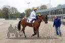 Dateiname=R02_0221.jpg
Dateigröße=129KB
Abmessungen: 750x500
hinzugefügt am: 17. April 2016 R02_0221.jpg