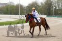 Dateiname=R02_0226.jpg
Dateigröße=124KB
Abmessungen: 750x500
hinzugefügt am: 17. April 2016 R02_0226.jpg