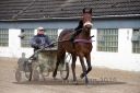 Dateiname=IMG_0012.jpg
Dateigröße=111KB
Abmessungen: 750x500
hinzugefügt am: 17. April 2016 IMG_0012.jpg
