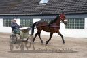 Dateiname=IMG_0020.jpg
Dateigröße=130KB
Abmessungen: 750x500
hinzugefügt am: 17. April 2016 IMG_0020.jpg