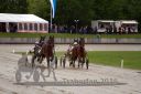 Dateiname=20160516_00_19.jpg
Dateigröße=106KB
Abmessungen: 750x500
hinzugefügt am: 22. Mai 2016 20160516_00_19.jpg