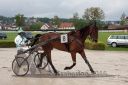 Dateiname=20160516_01_006.jpg
Dateigröße=106KB
Abmessungen: 750x500
hinzugefügt am: 22. Mai 2016 20160516_01_006.jpg
