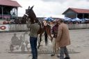 Dateiname=20160516_03_73.jpg
Dateigröße=105KB
Abmessungen: 750x500
hinzugefügt am: 22. Mai 2016 20160516_03_73.jpg