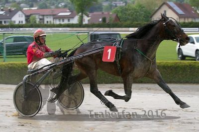 20160516_08_51.jpg