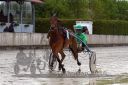 Dateiname=20160516_09_037.jpg
Dateigröße=114KB
Abmessungen: 750x500
hinzugefügt am: 22. Mai 2016 20160516_09_037.jpg