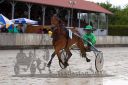 Dateiname=20160516_09_040.jpg
Dateigröße=108KB
Abmessungen: 750x500
hinzugefügt am: 22. Mai 2016 20160516_09_040.jpg