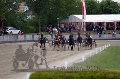 20160517_07_082.jpg