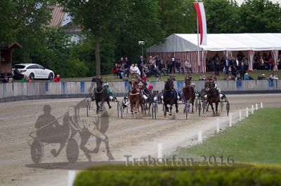 20160517_07_083.jpg