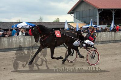 20160517_08_019.jpg