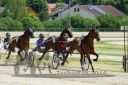 Dateiname=20160526_00QU1_04.jpg
Dateigröße=128KB
Abmessungen: 750x500
hinzugefügt am: 27. Mai 2016 20160526_00QU1_04.jpg