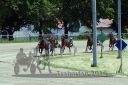 Dateiname=20160526_00QU2_25.jpg
Dateigröße=143KB
Abmessungen: 750x500
hinzugefügt am: 27. Mai 2016 20160526_00QU2_25.jpg