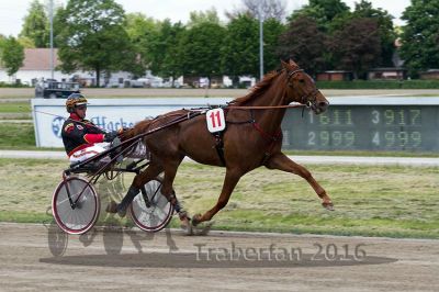 20160526_00QU3_29.jpg