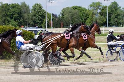20160526_R03_070.jpg