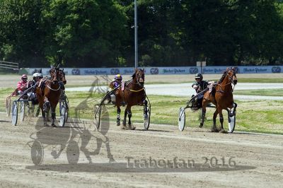 20160526_R03_081.jpg