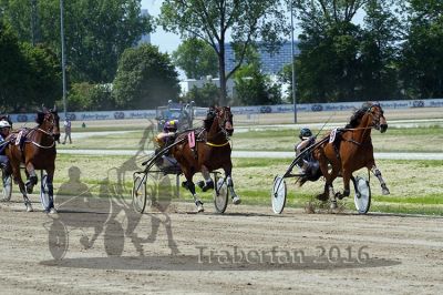 20160526_R03_086.jpg