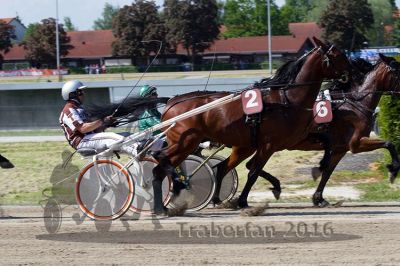 20160526_R07_043.jpg