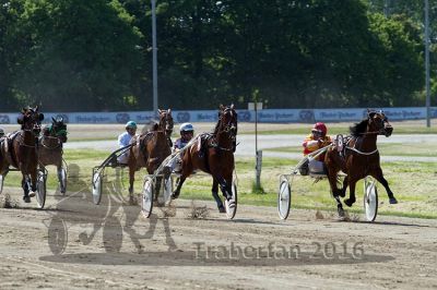 20160526_R07_051.jpg