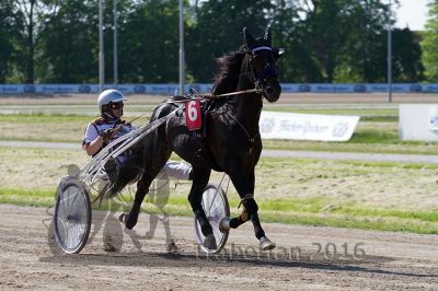 20160526_R08_026.jpg