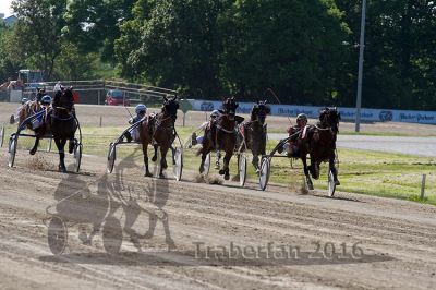20160526_R08_086.jpg