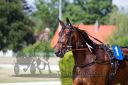 Dateiname=20160526_R09_010.jpg
Dateigröße=90KB
Abmessungen: 750x500
hinzugefügt am: 27. Mai 2016 20160526_R09_010.jpg