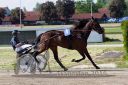 Dateiname=20160526_R09_043.jpg
Dateigröße=120KB
Abmessungen: 750x500
hinzugefügt am: 27. Mai 2016 20160526_R09_043.jpg
