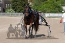 Dateiname=20160526_R09_092.jpg
Dateigröße=120KB
Abmessungen: 750x500
hinzugefügt am: 27. Mai 2016 20160526_R09_092.jpg