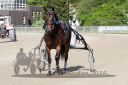 Dateiname=20160526_R09_094.jpg
Dateigröße=118KB
Abmessungen: 750x500
hinzugefügt am: 27. Mai 2016 20160526_R09_094.jpg