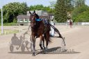 Dateiname=20160526_R09_097.jpg
Dateigröße=128KB
Abmessungen: 750x500
hinzugefügt am: 27. Mai 2016 20160526_R09_097.jpg