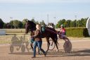 Dateiname=20160526_R13_133.jpg
Dateigröße=117KB
Abmessungen: 750x500
hinzugefügt am: 27. Mai 2016 20160526_R13_133.jpg