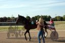 Dateiname=20160526_R13_139.jpg
Dateigröße=107KB
Abmessungen: 750x500
hinzugefügt am: 27. Mai 2016 20160526_R13_139.jpg