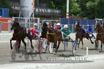 20160605_R02_049.jpg