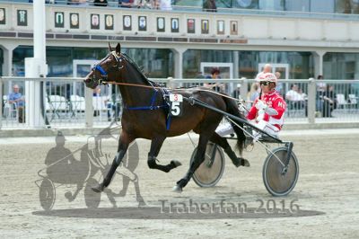 20160605_R03_067.jpg