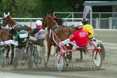 20160605_R032_065.jpg
